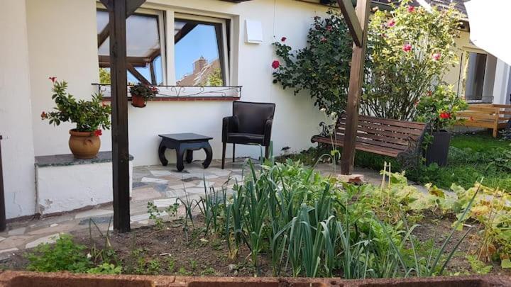 Bungalow An Der Tanne Mit Uberdachter Terrasse Ντίσελντορφ Εξωτερικό φωτογραφία